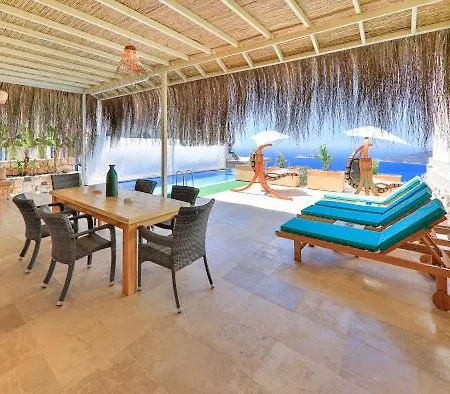 Livya